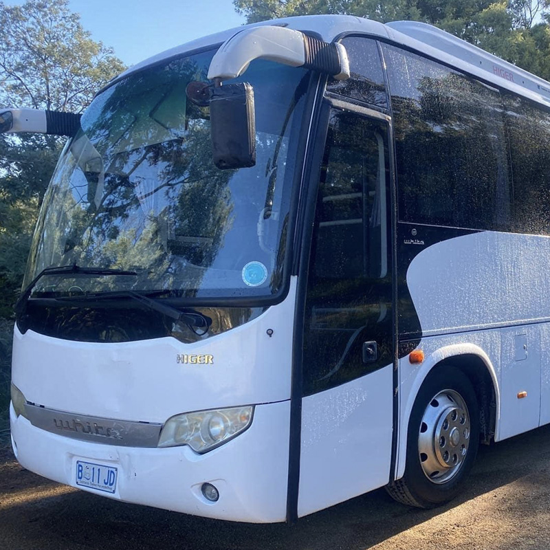 Close-up front view of a white coach parked among bush