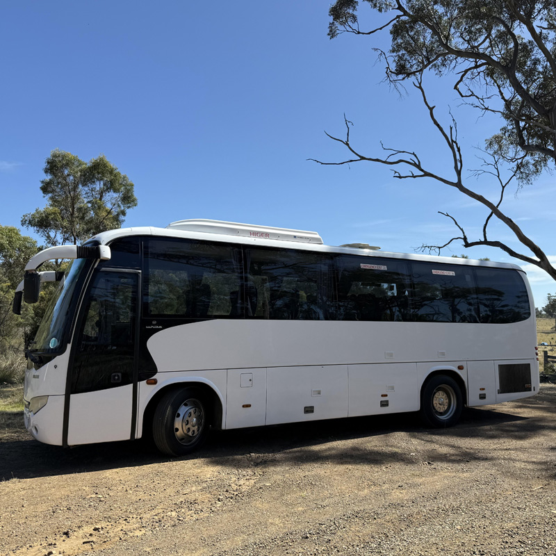 White coach with tinted windows parked on dirt under a gum tree