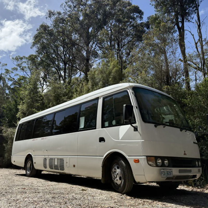 White minibus parked on gravel beneath tall gum trees