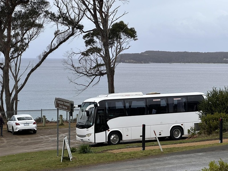 White coach parked at a waterside lookout among tall gum trees