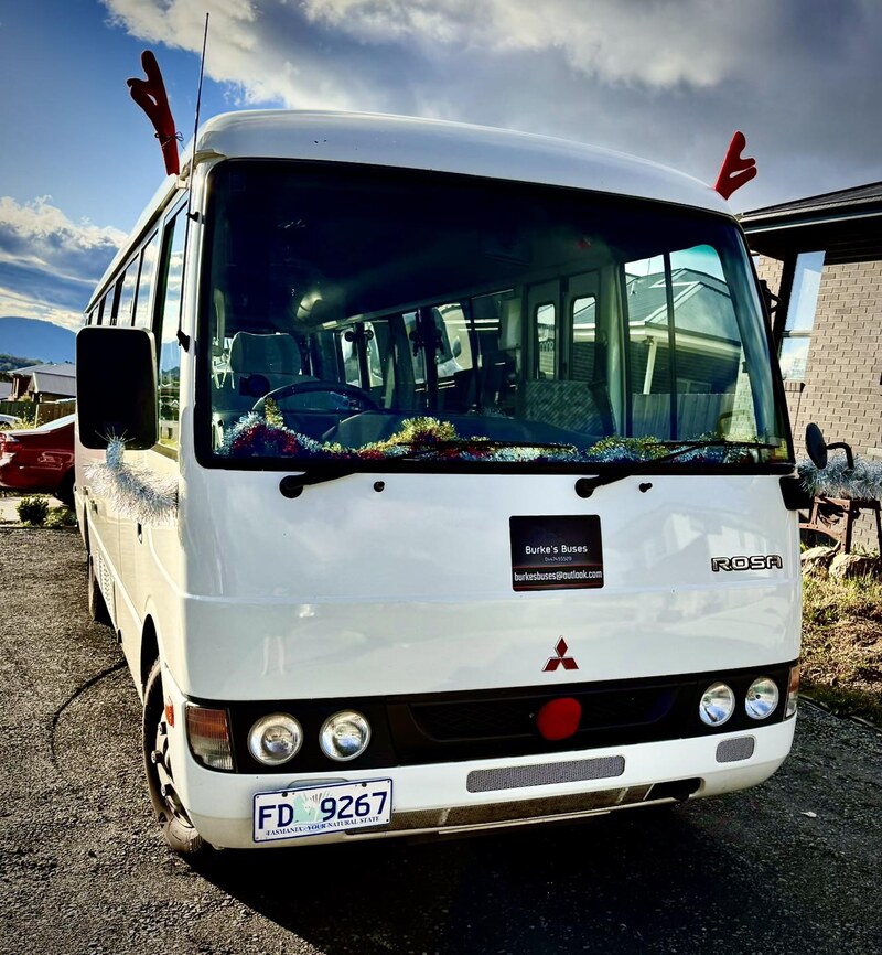 Front of a white minibus decorated with reindeer antlers and tinsel