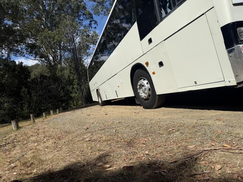 Low-angle view of a white coach's side on dry ground beneath gum trees