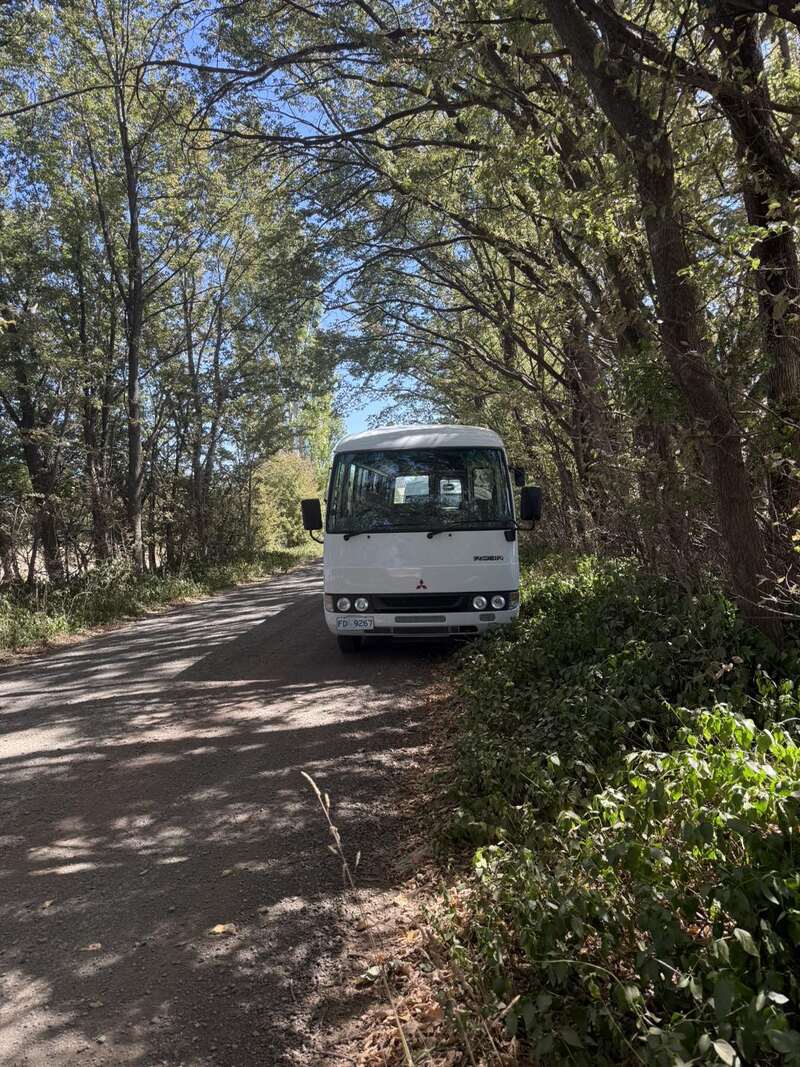 White minibus on a narrow tree-lined gravel road