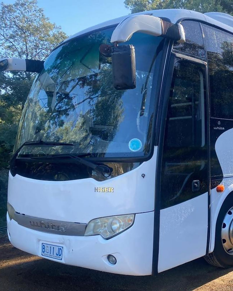 Front of a white coach parked among bush